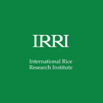 Logo 8